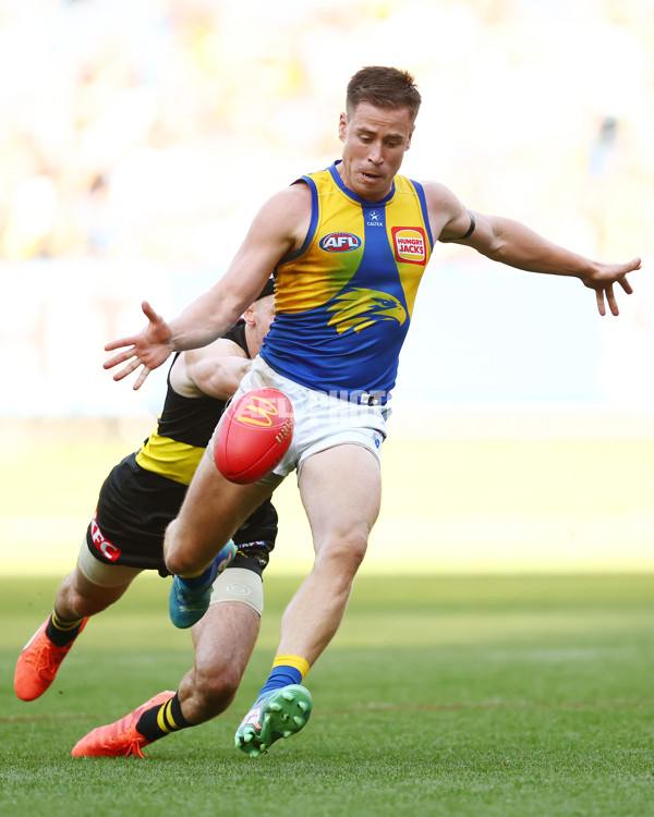 AFL 2025 Round 09 - Richmond v West Coast - A-59418923