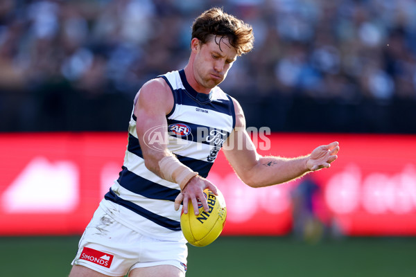 AFL 2025 Round 09 - Geelong v GWS - A-59418947