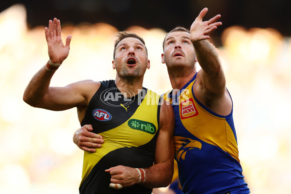 AFL 2025 Round 09 - Richmond v West Coast - A-59420924