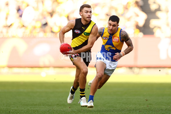 AFL 2025 Round 09 - Richmond v West Coast - A-59420925