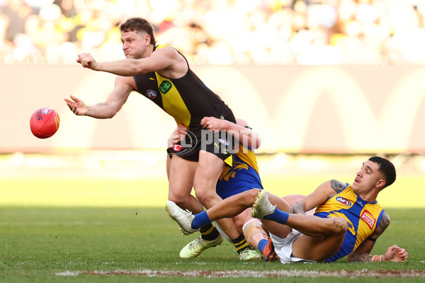 AFL 2025 Round 09 - Richmond v West Coast - A-59421608