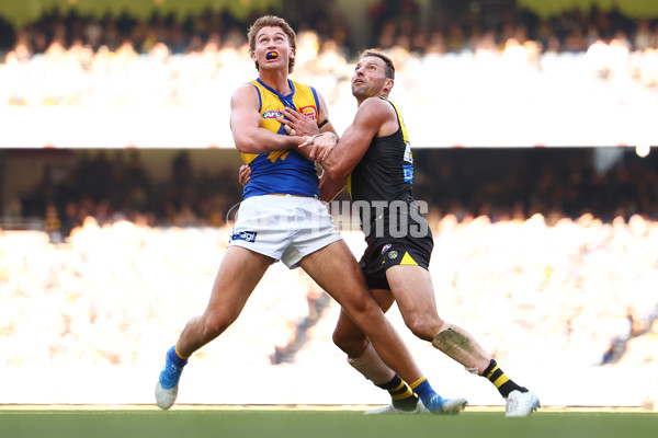 AFL 2025 Round 09 - Richmond v West Coast - A-59423562