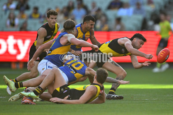 AFL 2025 Round 09 - Richmond v West Coast - A-59423564