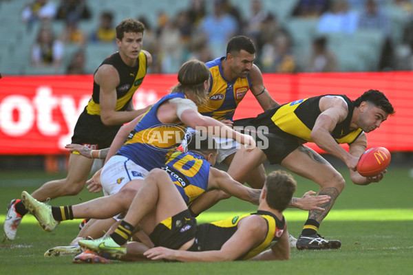 AFL 2025 Round 09 - Richmond v West Coast - A-59423565