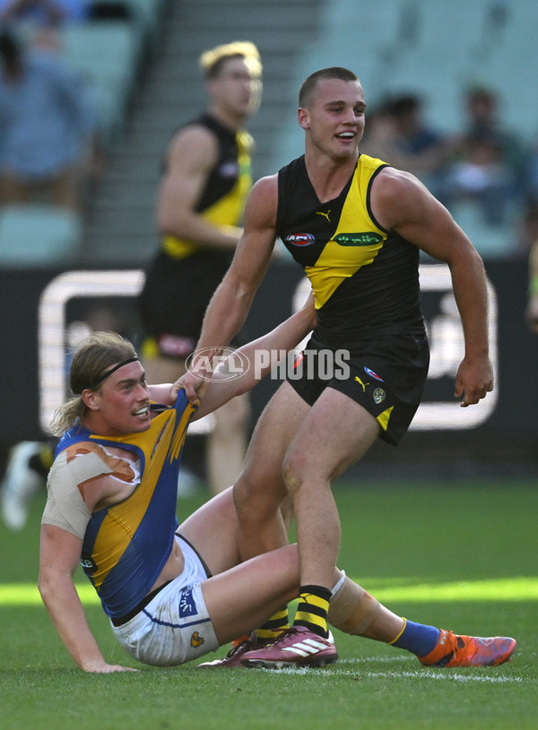AFL 2025 Round 09 - Richmond v West Coast - A-59423574