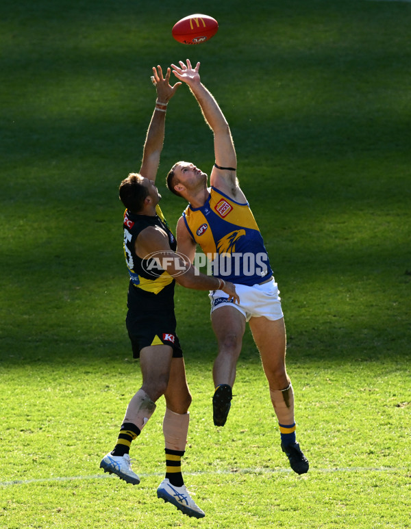 AFL 2025 Round 09 - Richmond v West Coast - A-59424777