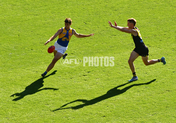 AFL 2025 Round 09 - Richmond v West Coast - A-59424784