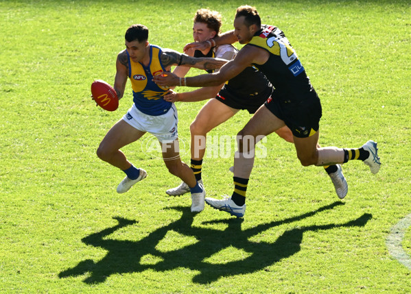 AFL 2025 Round 09 - Richmond v West Coast - A-59424793