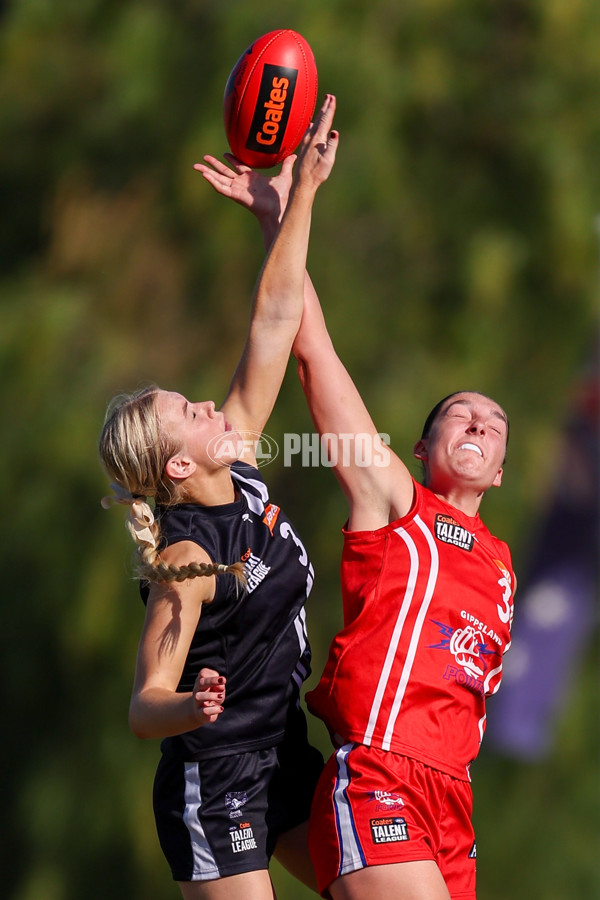 Coates League Girls 2025 Round 05 - Geelong Falcons v Gippsland Power - A-59424858