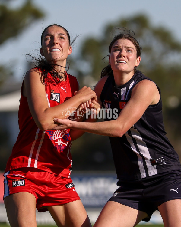 Coates League Girls 2025 Round 05 - Geelong Falcons v Gippsland Power - A-59427492