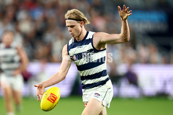 AFL 2025 Round 09 - Geelong v GWS - A-59432660