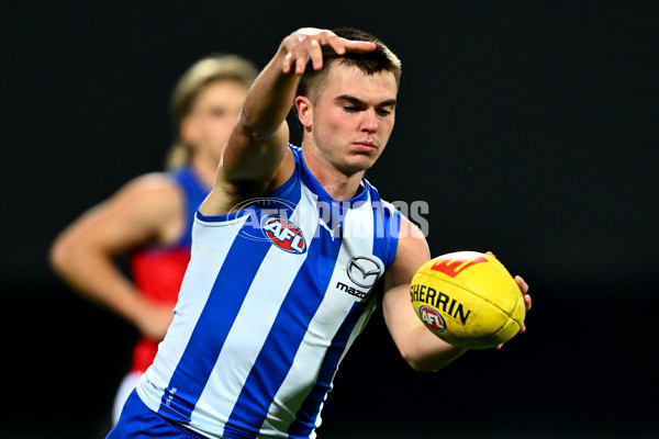 AFL 2025 Round 09 - North Melbourne v Brisbane - A-59432702