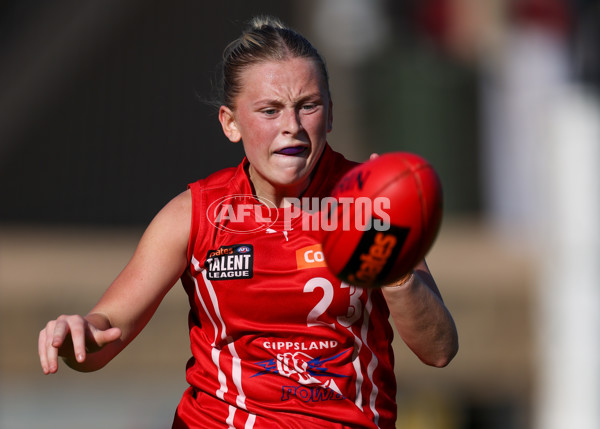Coates League Girls 2025 Round 05 - Geelong Falcons v Gippsland Power - A-59435859