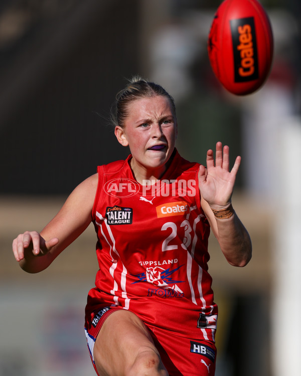 Coates League Girls 2025 Round 05 - Geelong Falcons v Gippsland Power - A-59435860