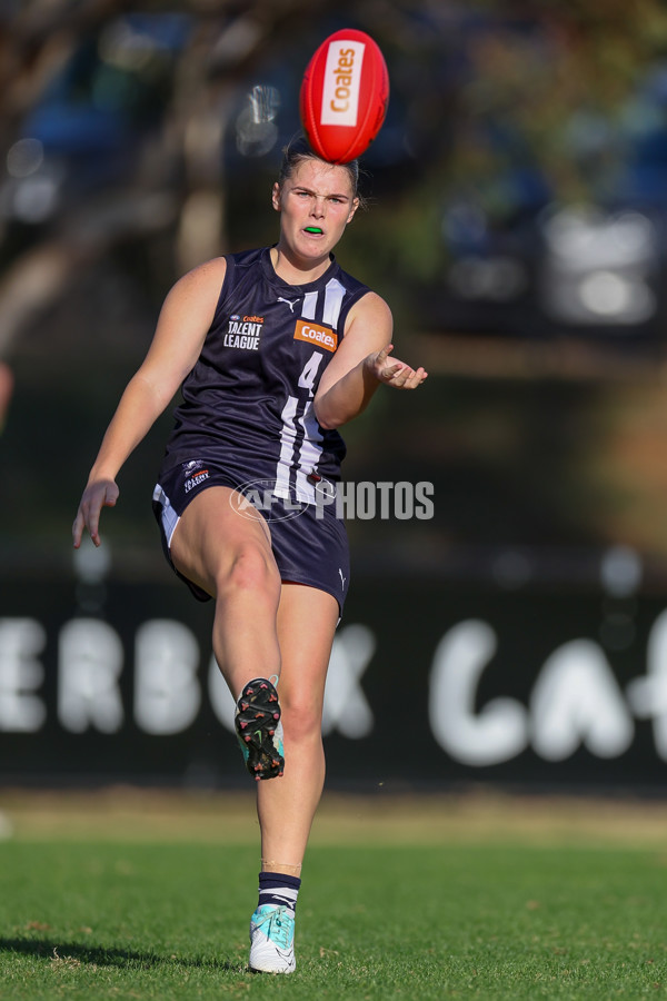 Coates League Girls 2025 Round 05 - Geelong Falcons v Gippsland Power - A-59439112