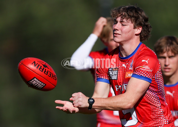 Coates League Boys 2025 Round 06 - Geelong Falcons v Gippsland Power - A-59439119