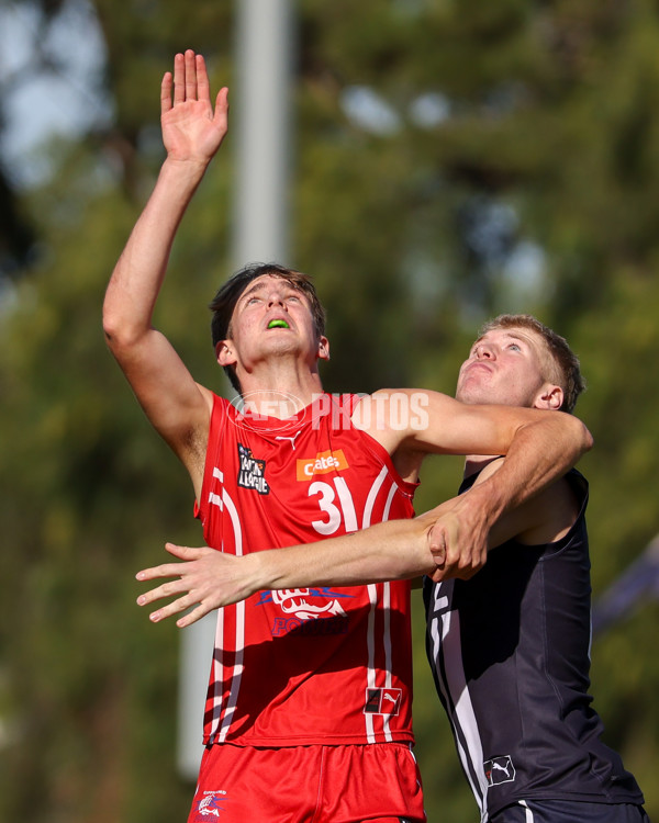 Coates League Boys 2025 Round 06 - Geelong Falcons v Gippsland Power - A-59439131