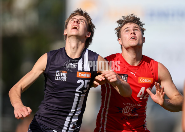 Coates League Boys 2025 Round 06 - Geelong Falcons v Gippsland Power - A-59439167