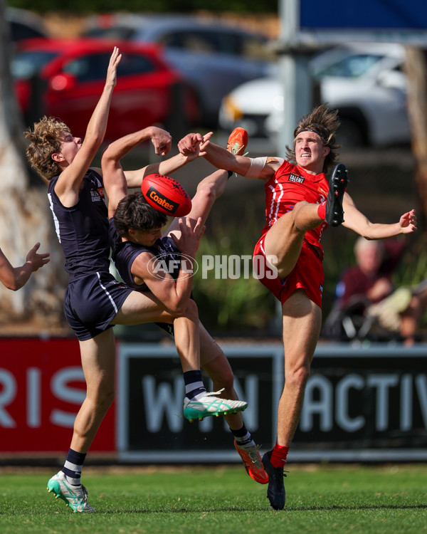 Coates League Boys 2025 Round 06 - Geelong Falcons v Gippsland Power - A-59439168