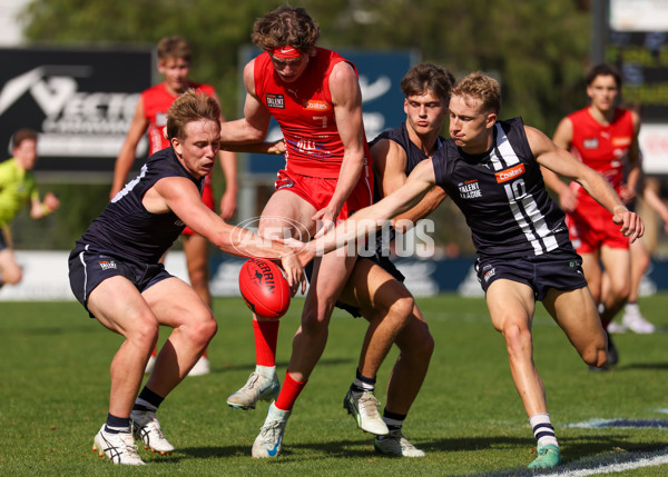 Coates League Boys 2025 Round 06 - Geelong Falcons v Gippsland Power - A-59439176