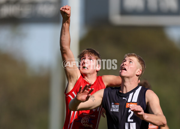 Coates League Boys 2025 Round 06 - Geelong Falcons v Gippsland Power - A-59439187
