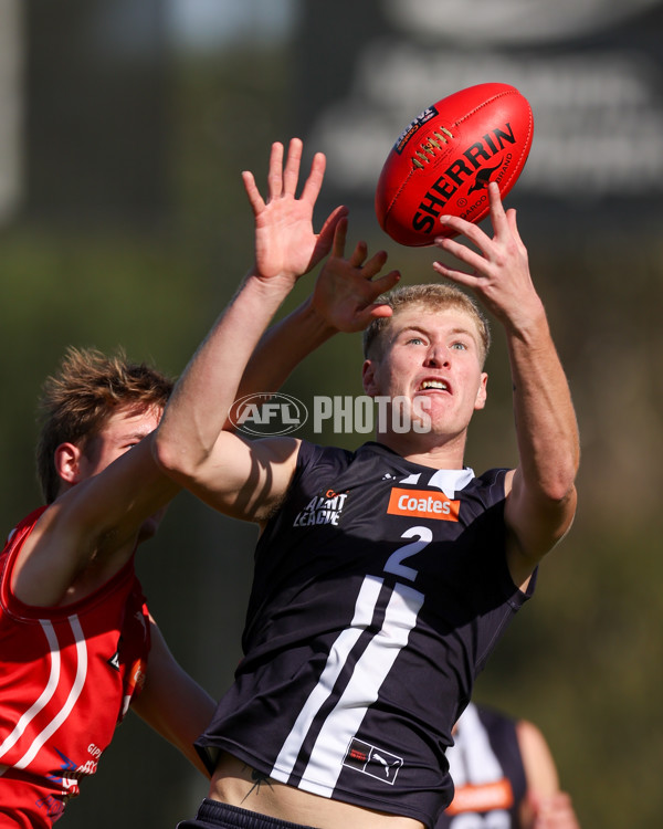 Coates League Boys 2025 Round 06 - Geelong Falcons v Gippsland Power - A-59439188