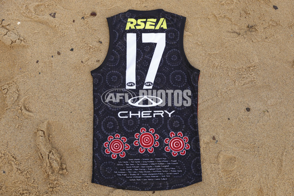 AFL 2025 Media - St Kilda Indigenous Guernsey - A-59443144
