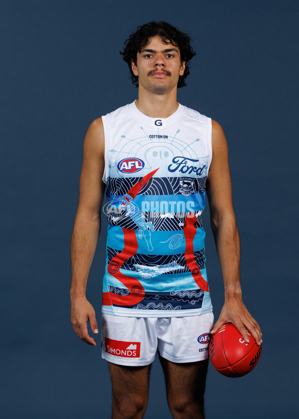 AFL 2025 Media - Geelong Indigenous Guernsey - A-59456033