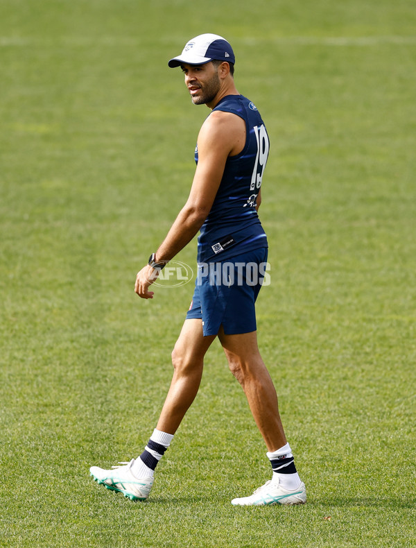AFL 2025 Training - Geelong 150525 - A-59460901
