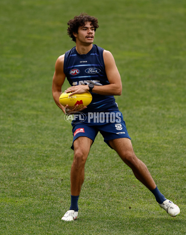 AFL 2025 Training - Geelong 150525 - A-59462999