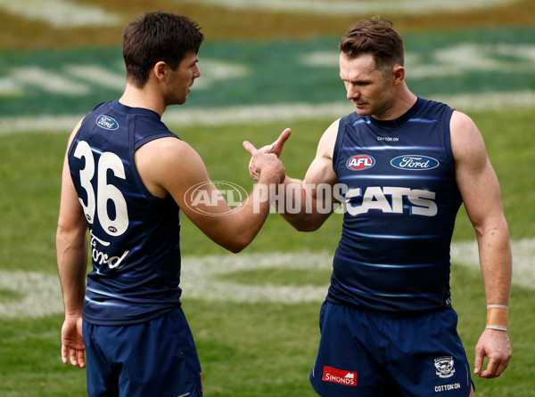 AFL 2025 Training - Geelong 150525 - A-59463008
