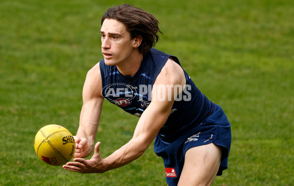 AFL 2025 Training - Geelong 150525 - A-59463009