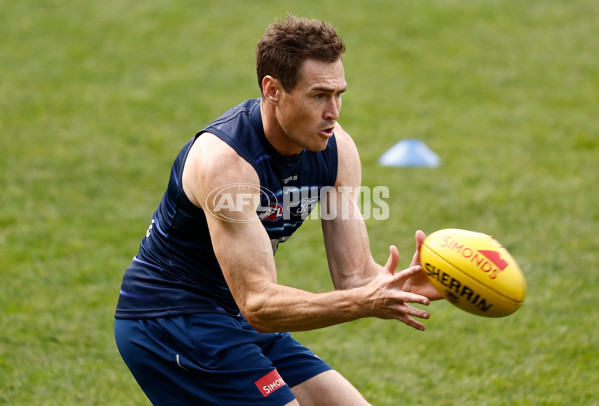 AFL 2025 Training - Geelong 150525 - A-59463021