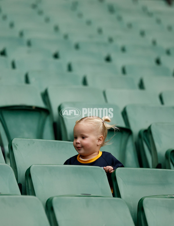 AFL 2025 Training - Adelaide 160525 - A-59472403
