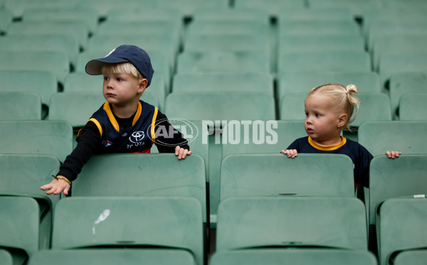 AFL 2025 Training - Adelaide 160525 - A-59472410