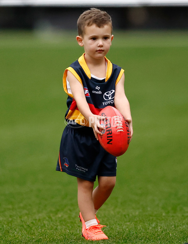 AFL 2025 Training - Adelaide 160525 - A-59473085