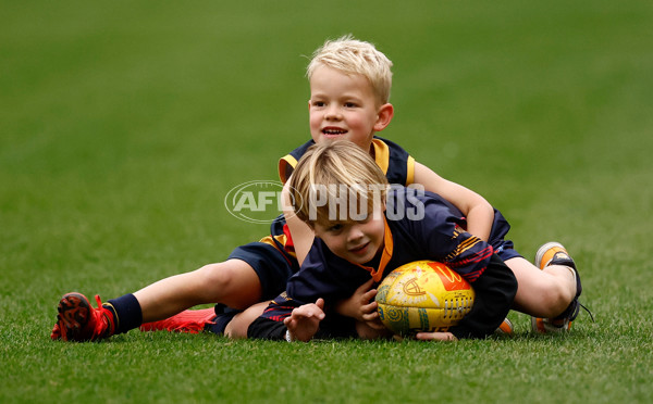AFL 2025 Training - Adelaide 160525 - A-59473086