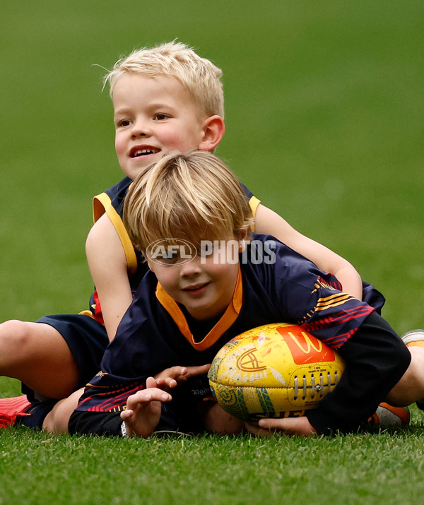 AFL 2025 Training - Adelaide 160525 - A-59473087