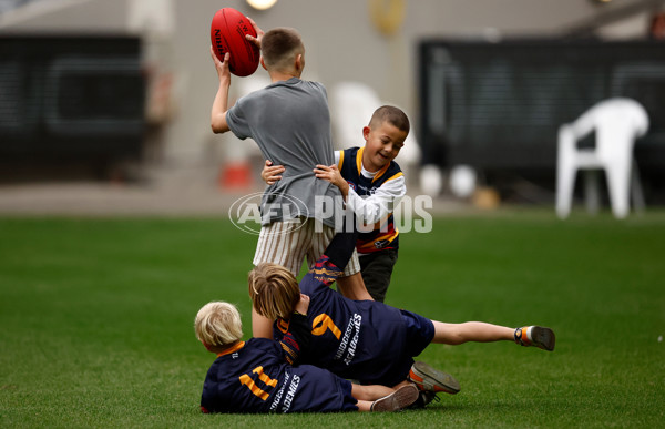 AFL 2025 Training - Adelaide 160525 - A-59473089
