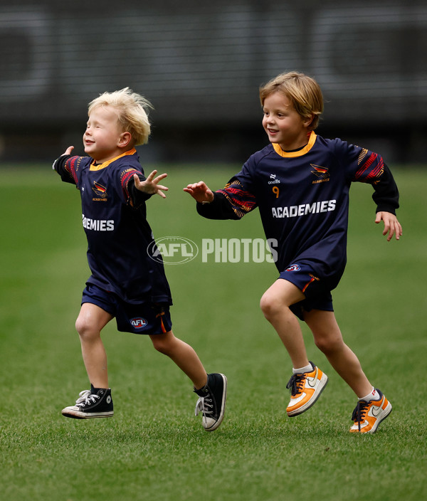 AFL 2025 Training - Adelaide 160525 - A-59473091