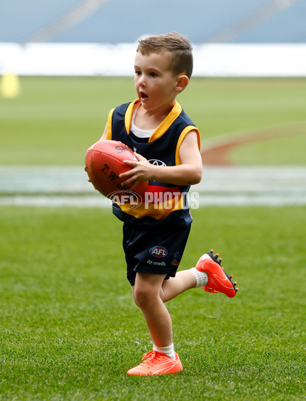 AFL 2025 Training - Adelaide 160525 - A-59473101