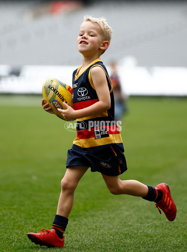 AFL 2025 Training - Adelaide 160525 - A-59473107