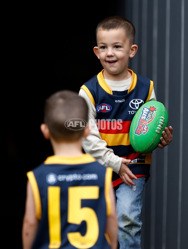 AFL 2025 Training - Adelaide 160525 - A-59474376