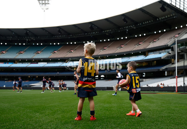 AFL 2025 Training - Adelaide 160525 - A-59475673