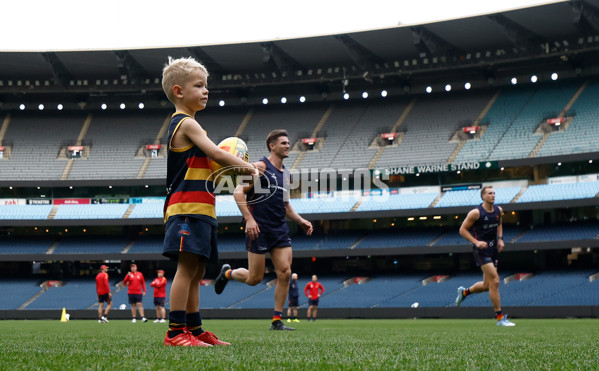 AFL 2025 Training - Adelaide 160525 - A-59475682