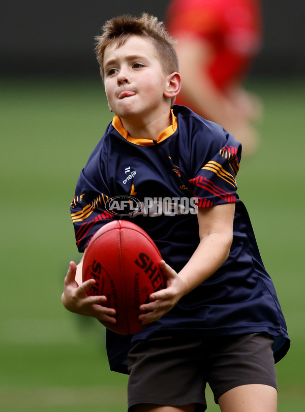AFL 2025 Training - Adelaide 160525 - A-59475704