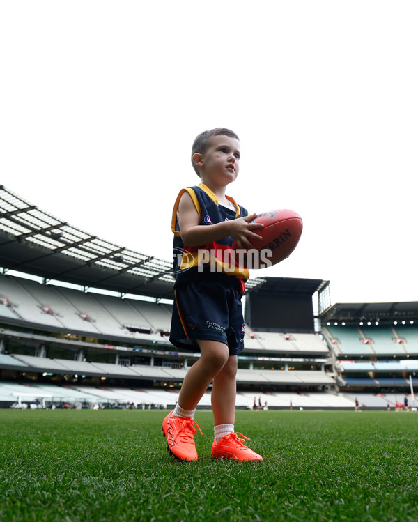 AFL 2025 Training - Adelaide 160525 - A-59475748
