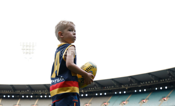 AFL 2025 Training - Adelaide 160525 - A-59476604