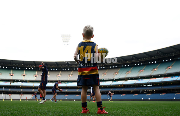 AFL 2025 Training - Adelaide 160525 - A-59476614