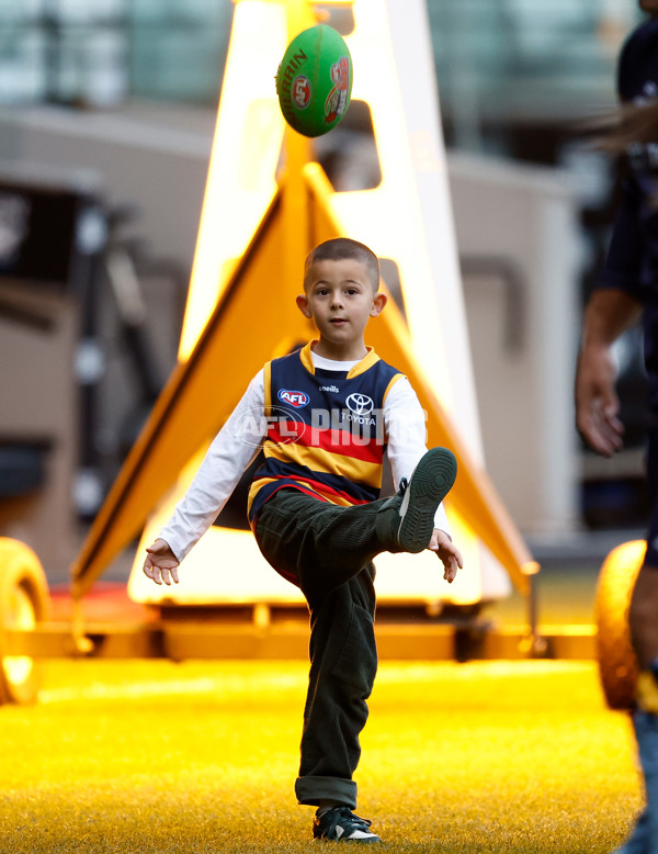 AFL 2025 Training - Adelaide 160525 - A-59478910